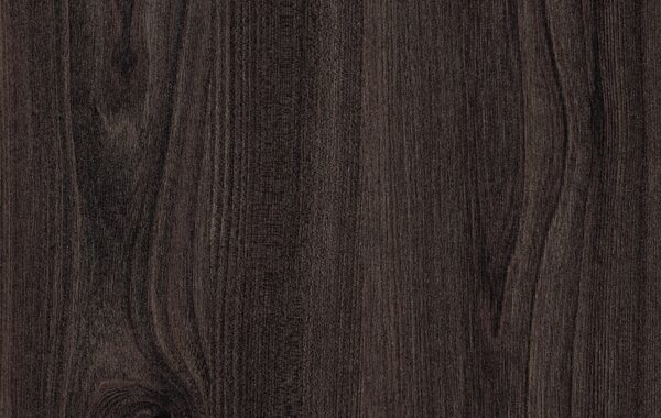 Вяз Тоссини тёмно-коричневый